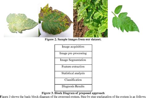 Transmission of Plant Diseases - IndiaAgroNet.com