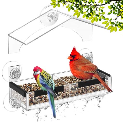 Transparent Window Bird Feeder with 5 Extra Strong Suction …