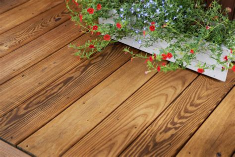 Transparent vs Semi Transparent Deck Stain: Main Differences