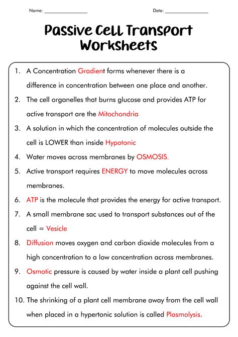 Transport Cell Passive Answer Key