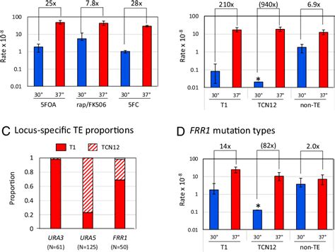 Transposon mobilization in the human fungal pathogen Cryptococcus …