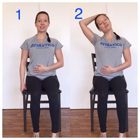 Trapezius stretches. Things To Know About Trapezius stretches. 