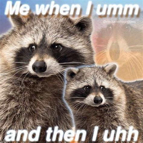 Trashpanda_Kat Leaked 💦 XxX