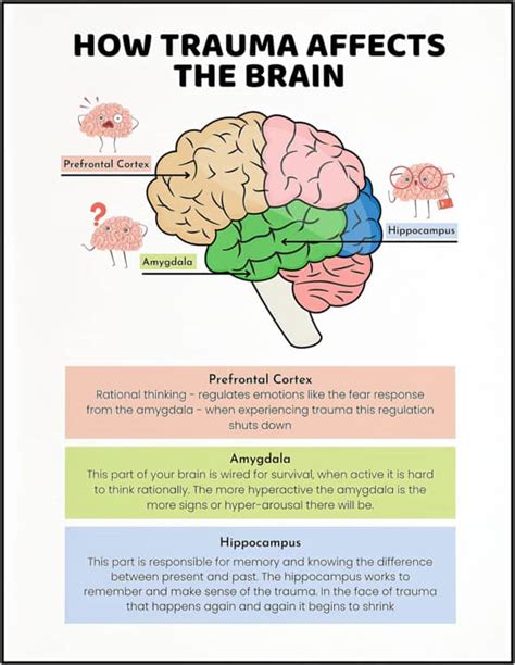 Trauma and the brain video for kids. .  ...