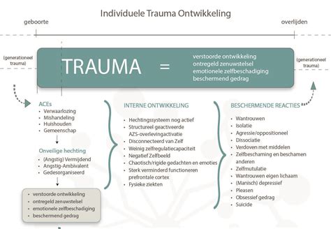 Trauma en sociale ontwikkeling