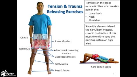 Trauma releasing exercises step by step. - John deere 820 manuales de reparación.