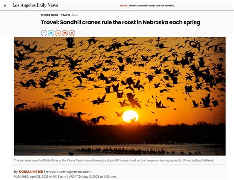 Travel: Sandhill cranes rule the roost in Nebraska each spring