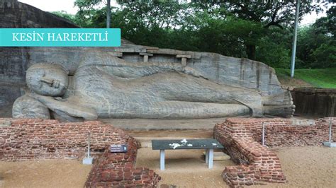 codini.rgarabwor.edu.pl. 