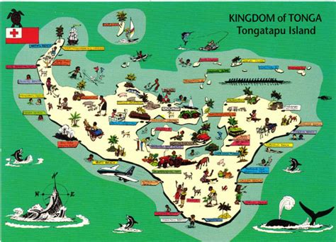 Travel and holiday guide to tongatapu island kingdom of tonga. - Atkins molecular quantum mechanics solution manual.
