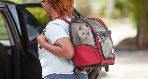 Traveling with a cat. Get FREE U.S. Shipping on all orders of $89+. Chat with Us. Home of all the travel gear you need specifically made for cats! The best cat backpack carrier style options, including "The Fat Cat" — our best-seller that holds up to 25lbs of cat, harnesses and leashes for adventure cats, cat carriers, beds and more. We ship worldwide! 