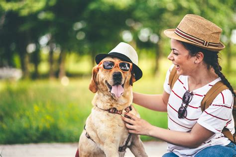 Travelling with pets: Rules to keep in mind 
