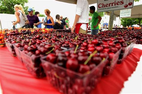 Traverse city cherry festival. The cherries featured at the National Cherry Festival are from the Traverse City region. At least partly. According to Maria Lammers of Gallagher’s Farm Market, the cherries for the first weekend actually come from (gasp!) the Grand Rapids area. 