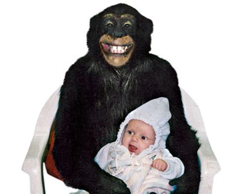 Travis chimpanzee. Things To Know About Travis chimpanzee. 