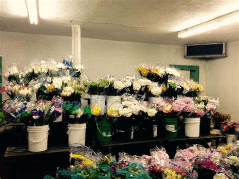 Travis wholesale florist. Things To Know About Travis wholesale florist. 