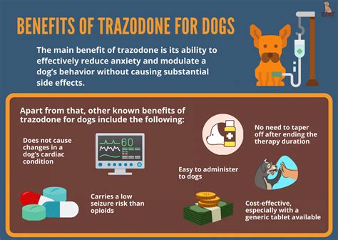 Trazodone And Cbd Interaction In Dogs