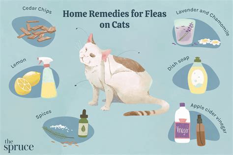 Treating home for fleas. Thanks to its acidic quality, lemons are an all-natural way to remove the presence of fleas in the home. They are also a brilliant way to clean a microwave and clean an oven. too. One of the easiest … 