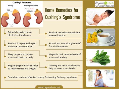 Treatments for cushing. Sep 22, 2020 · Cushing’s syndrome is a very “stressful” disease to contract, but there are many natural remedies for this condition, including sleeping more, reducing stress, exercising regularly, altering your diet, and using herbal treatments, among others. 