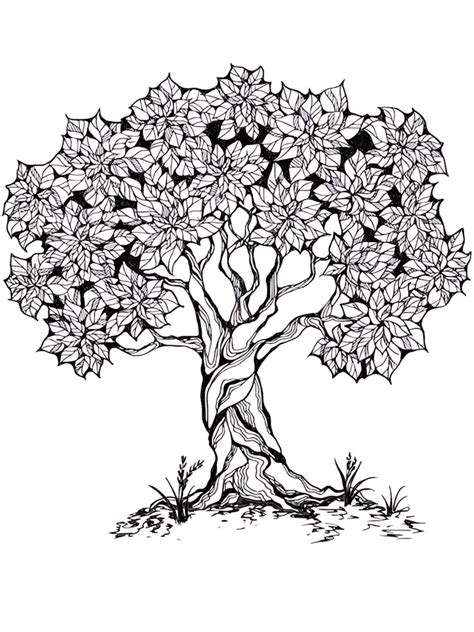 Tree Adult Coloring Pages