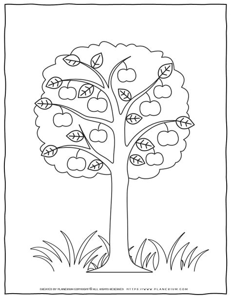 Tree Coloring Page Apple Tree Planerium