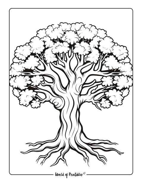 Tree Coloring Pages Free Coloring Book