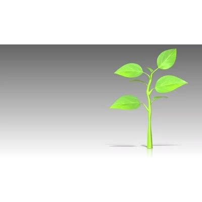 Tree Growing 3D Animated Clipart for PowerPoint