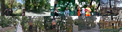 Tree Hugger Photos, Diagrams & Topos SummitPost