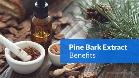 Tree Huggers Unite: 10 Benefits of Pine Bark Extract