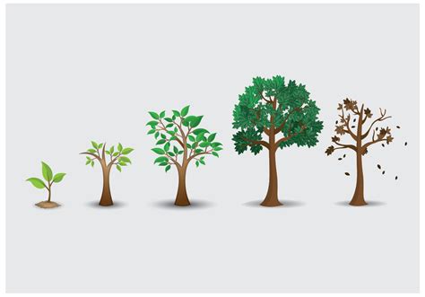Tree Life Cycle Dot environment