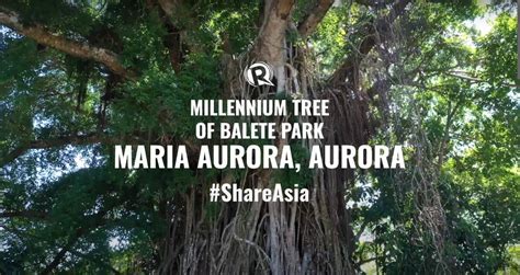 Tree Maria Onlyfans Leak