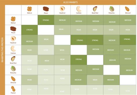 Tree Nut Identification Chart