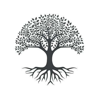 Tree Of Life Root Images Free Vectors, Stock Photos & PSD Page 2