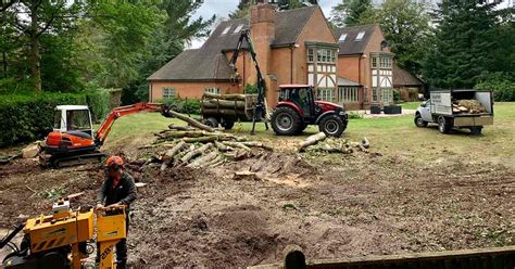 Tree Surgeon in Grayshott