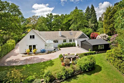 Tree Surgeons in Bovey Tracey, Newton Abbot, Devon