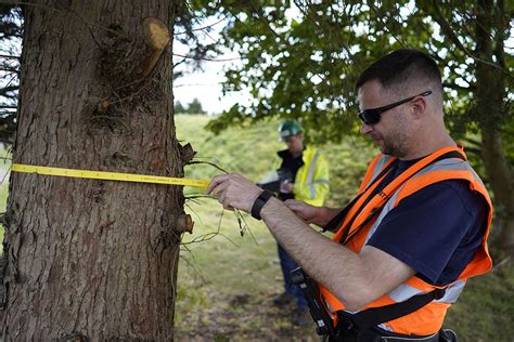 Tree Surveys Lake District & Cumbria Achieve Planning Permission