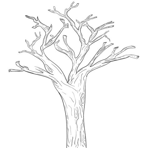 Tree Trunk Printable Templates Coloring Pages Tree Templates Tree Coloring Page Template Printable