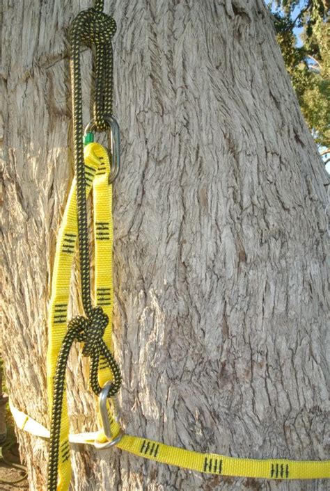Tree anchor sling.  One simple way to equalize The CMI Anchor Sling is a simple,...