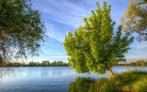 Tree by water. The "rivers of water" spoken of (פַּלְגַ־מָיִם) are undoubtedly the "streams" (Revised Version) or "canals of irrigation" so common both in Egypt and in Babylonia, by which fruit trees were planted, as especially date-palms, which need the vicinity of water. That such planting of trees by the waterside was known to the Israelites ... 