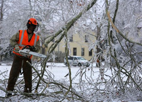Tree care company contracted to help with ice storm cleanup in Williamson County parks