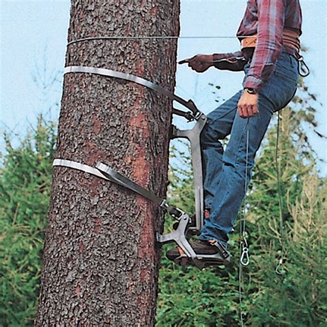 Tree climber equipment.  Climber's are responsible for ensuring safe tree op...