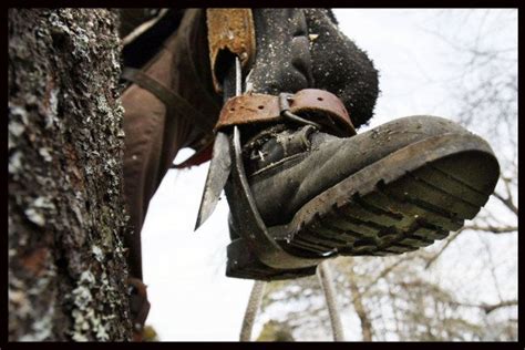 Tree climbing boots for spurs.  Also called climbers, spurs, or even hooks.  T...