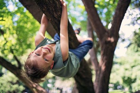 Tree climbing brought to a new level for kids in Silver Spring