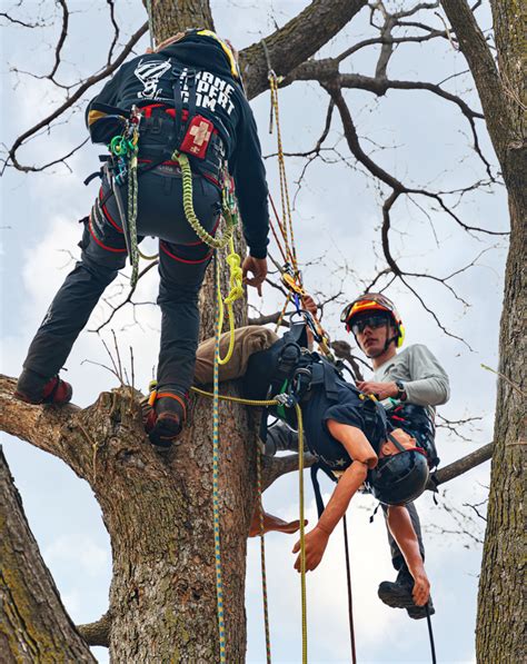 Tree climbing certification near me.  Climbing and aerial rescue classes ...