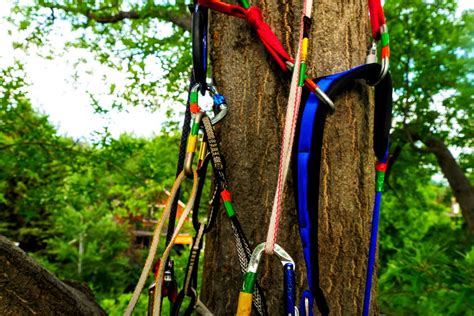 Tree climbing gear nearby.  Including climbing ropes, harnesses, pullies ...