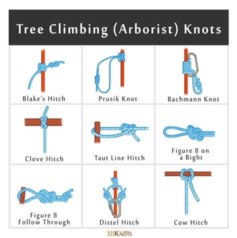 Tree climbing knots.  Enhance safety and efficiency with our step-by-s...