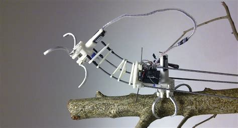 Tree climbing robot chainsaw.  This paper analyzed the research and application statu...