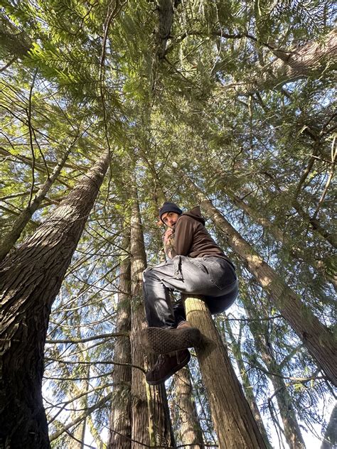Tree climbing school.  The ground cover should be checked for ‘sharp objects’ an...