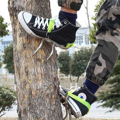 Tree climbing shoes. .  ...