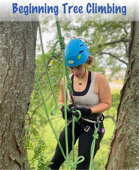 Tree climbing training.  Enroll Now! Learn the basic tree climbing techniques used by profession...