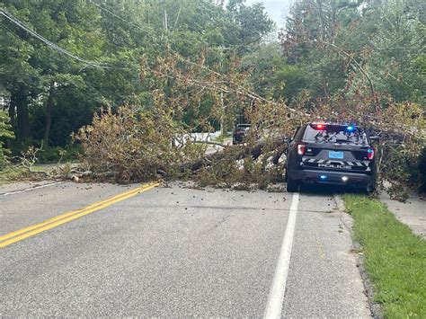 Tree crushes Cohasset Police cruiser, officer is fine, authorities say