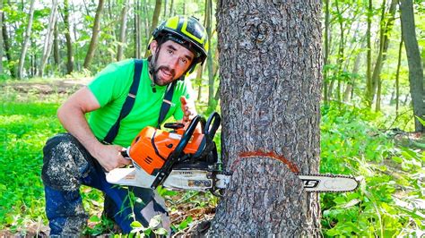 Tree cutting job name.  This informative guide explores the various names used for th...
